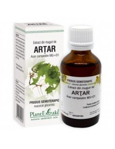 Acer camp. (muguri artar) 50 ml