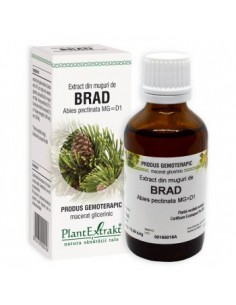 Abies pect. (muguri brad) 50 ml