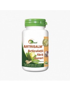 Artrisalm x 100 tb
