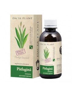 Patlagina sirop x 200ml
