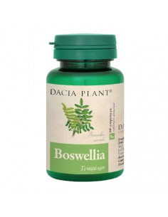 Boswellia 60 comprimate (Tămâie)