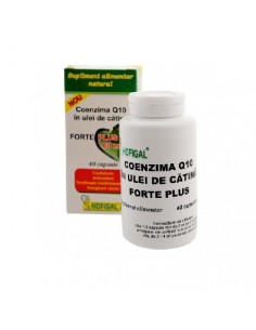 Coenzima Q10 Forte plus, 60mg, 40 de capsule, Hofigal