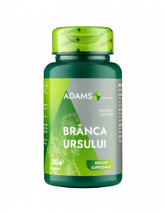 Branca Ursului 400mg, 30 capsule, Adams