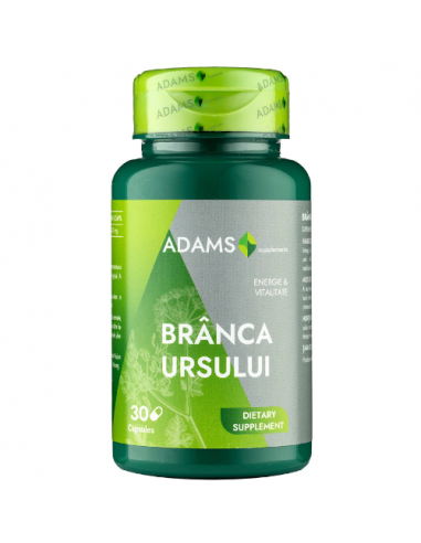Branca Ursului 400mg, 30 capsule, Adams