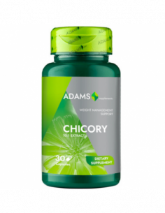 Cicoare 400mg, 30 capsule, Adams