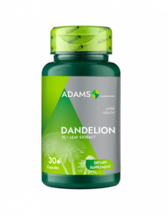 Papadie extract 370mg, 30 capsule, Adams