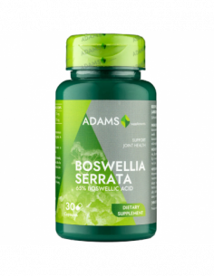 Boswellia Serata - Extract Tamâie, 30 capsule, Adams