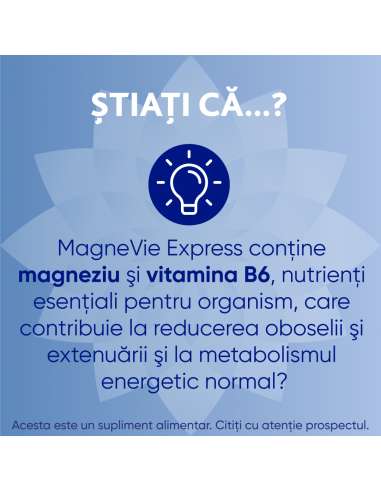 MagneVie Express, granule orodispersabile, 20...