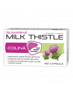 Silimarina + Colina (Milk Thistle + Choline), 400 mg, 30...