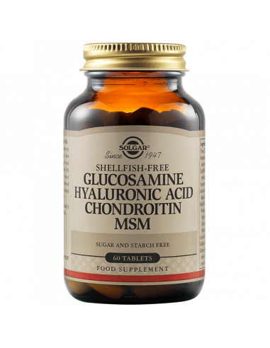 GlucHylAcdCond MSM x 60 tab