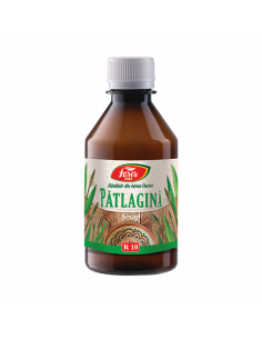 Sirop Patlagina R10 250 ml – Fares