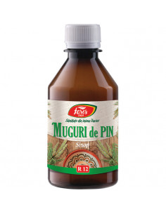 Sirop Muguri de Pin R12 – 250 ml
