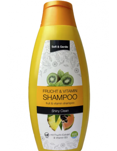 Schmees Soft & Gentle Shiny Clean 500 ml