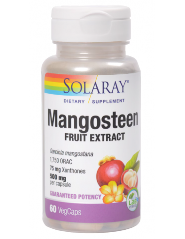Mangosteen Extract 500 mg – 60 capsule vegetale