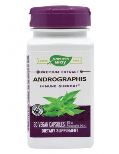 Nature’s Way Andrographis Standardized Extract 300 mg –...