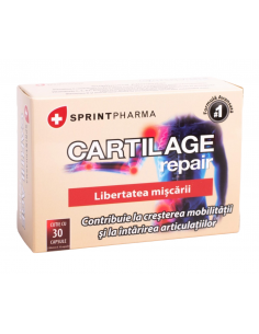 Cartilage Repair 30 capsule – Sprint Pharma