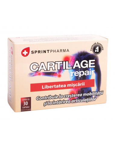 Cartilage Repair 30 capsule – Sprint Pharma