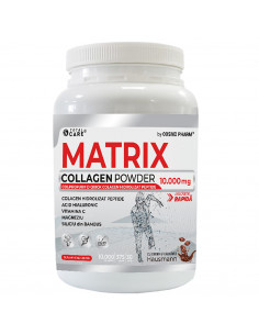 Matrix Collagen Powder 10.000 mg – 375 g