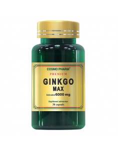 Ginkgo Max Extract 120 mg, 30 capsule, Cosmo Pharm
