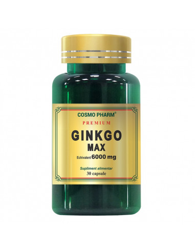 Ginkgo Max Extract 120 mg, 30 capsule, Cosmo Pharm