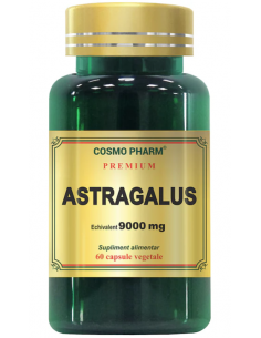 Astragalus Extract 450 mg (echivalent 9000 mg), 60...