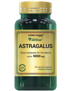 Premium Astragalus Extract 450 mg, 30 capsule vegetale