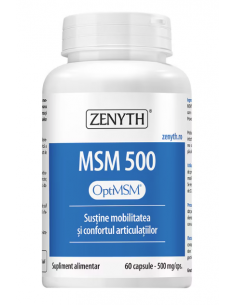 MSM 500 mg – 60 capsule