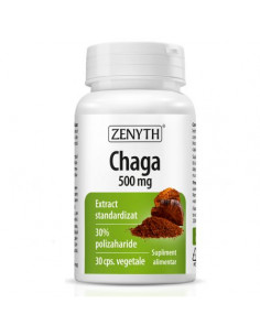 Chaga 500 mg – 30 capsule, Zenyth