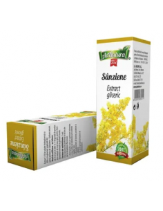 Extract Gliceric Sânziene 50 ml – AdNatura