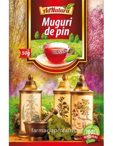 Ceai pin (muguri) x 50 g – AdNatura