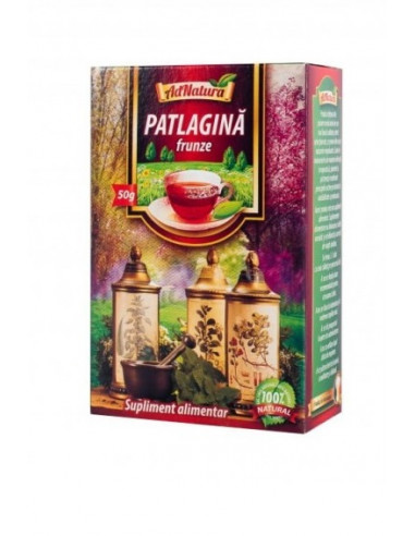 Ceai pătlagină frunze x 50 g – AdNatura
