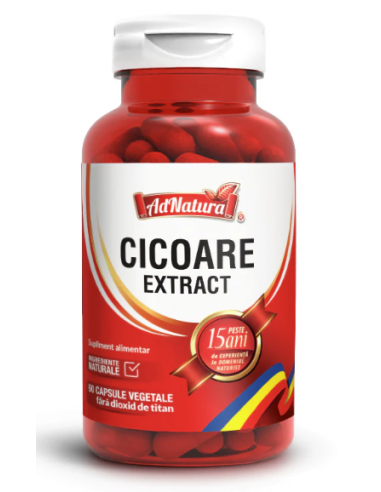 Cicoare extract x 60 capsule AdNatura