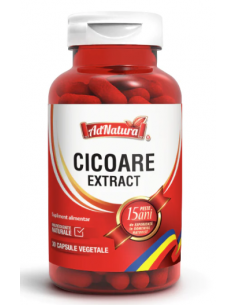 Cicoare extract x 30 capsule AdNatura