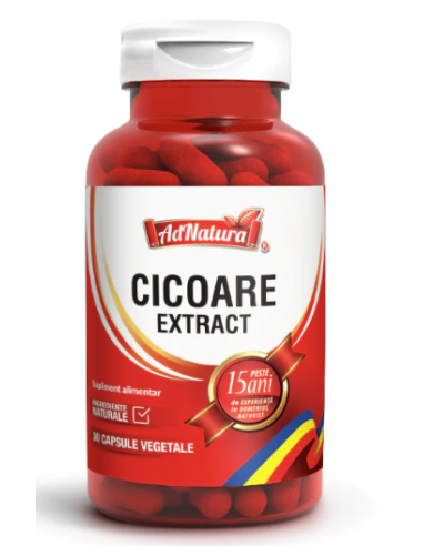 Cicoare extract x 30 capsule AdNatura
