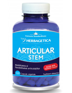 Articular Stem, 120 capsule, Herbagetica
