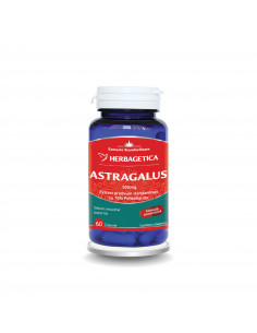 Astragalus 500 mg Cu 70% Polizaharide, 60 capsule,...
