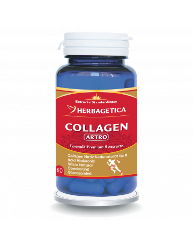 Collagen Artro, 60 capsule, Herbagetica