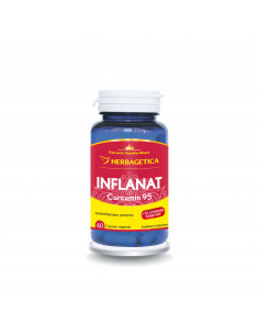 Inflanat  Curcumin 95, 60 capsule, Herbagetica