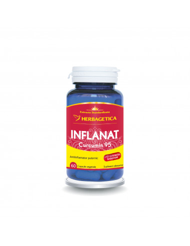 Inflanat  Curcumin 95, 60 capsule, Herbagetica