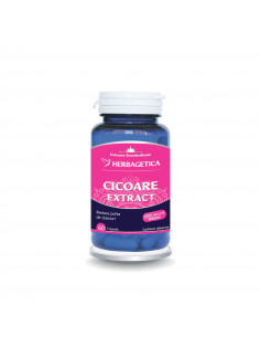 Cicoare cu extract, 60 capsule, Herbagetica