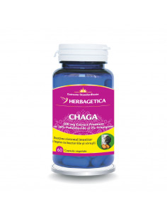 Chaga, 60 capsule, Herbagetica