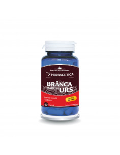 Branca marelui urs, 60 capsule, Herbagetica
