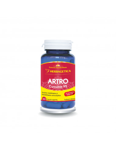 Artro + curcumin95, 60 capsule, Herbagetica