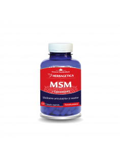 MSM + Curcumin 95, 120 capsule, Herbagetica
