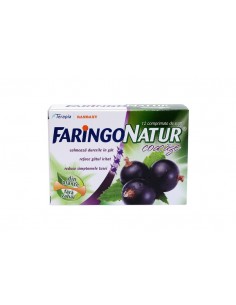 FaringoNatur coacaze x 12cp.supt