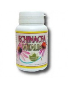 Echinacea x50cps