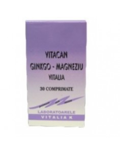 Vitacan gInkgo magneziu x30cps