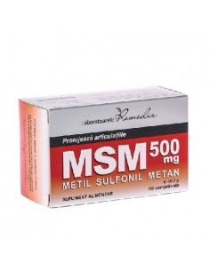 MSM 500mg 6 bls x 10 cpr