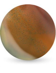 Gerovital beauty lac magic gel 17 x 11 ml