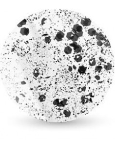 Gerovital Beauty Magic Gel Effect – lac de unghii 11 ml...